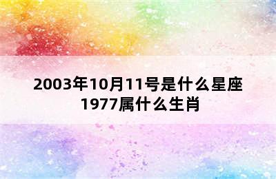 2003年10月11号是什么星座 1977属什么生肖